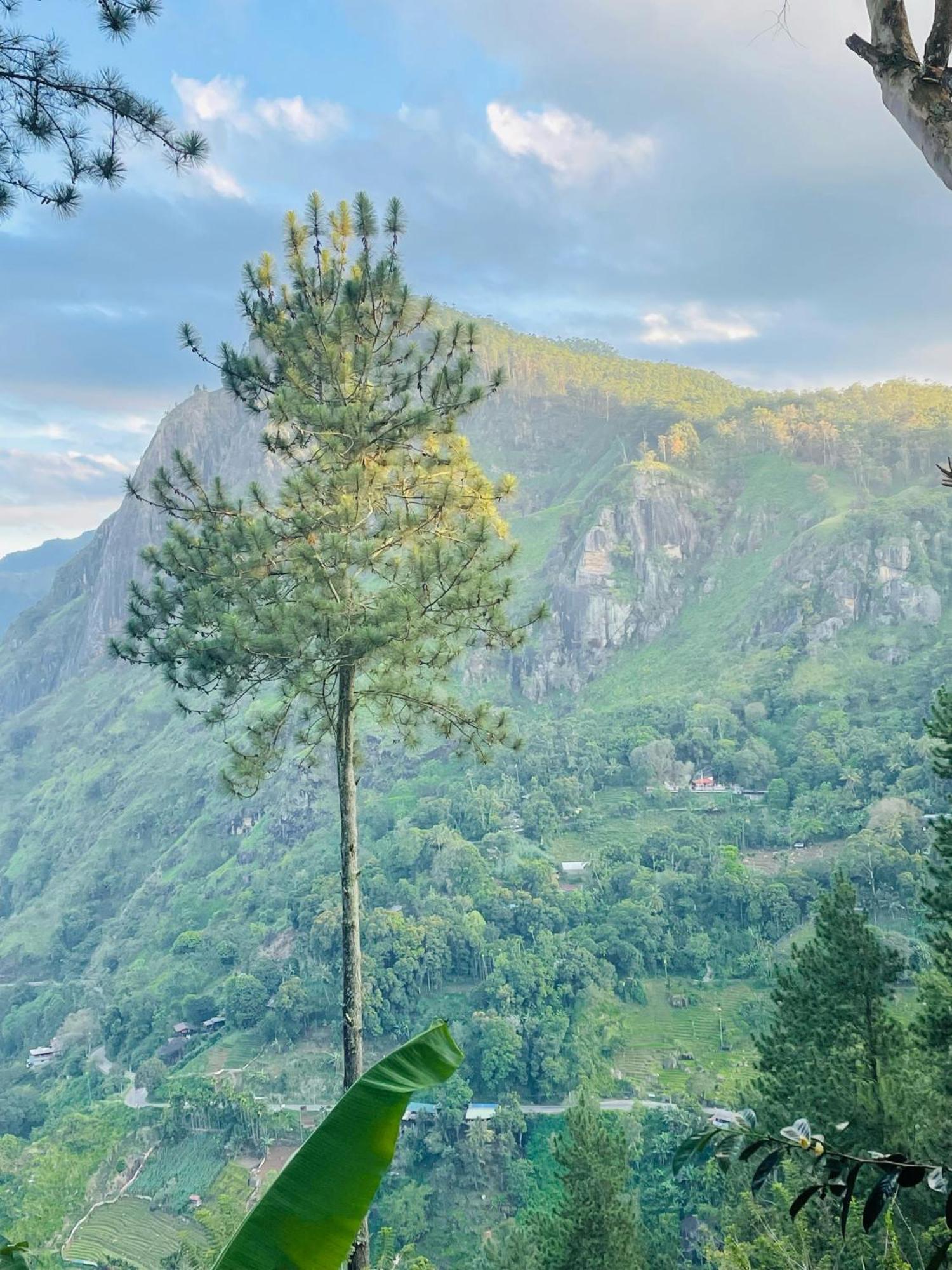 Hidden Gem Inn Элла Экстерьер фото